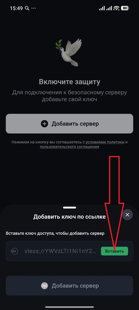 Поле для вставки ключа доступа