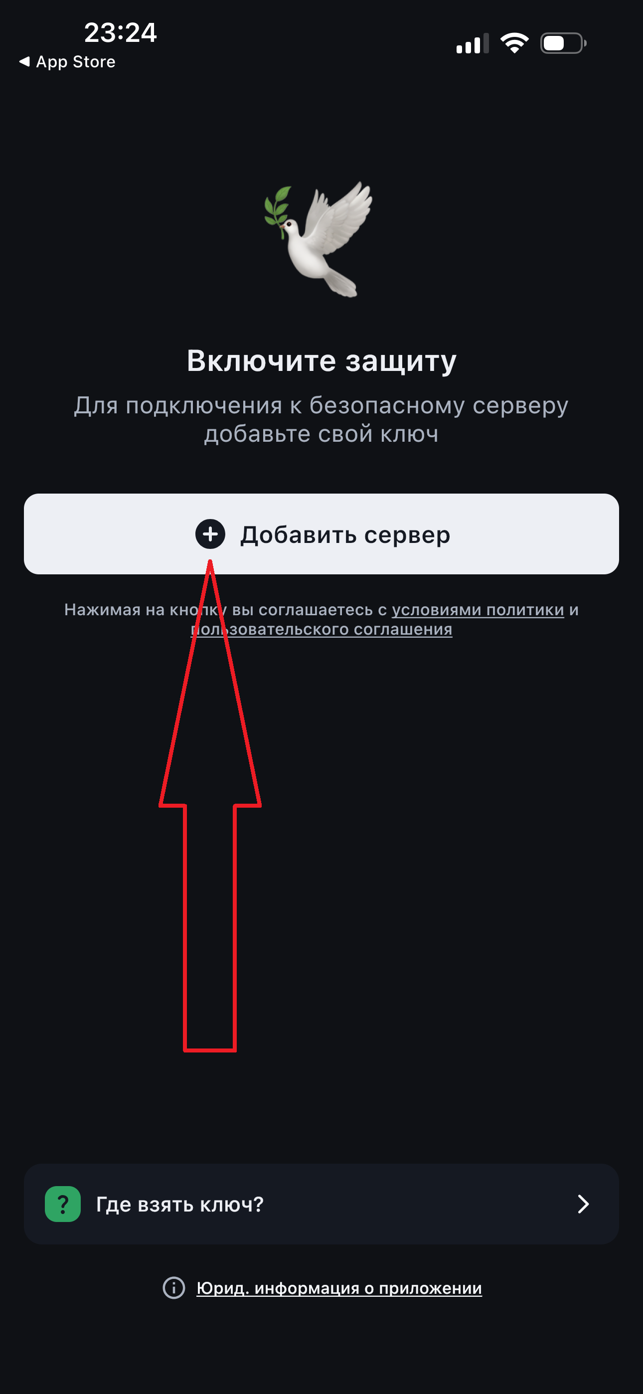 Главный экран V2Ray Client с кнопкой Добавить сервер