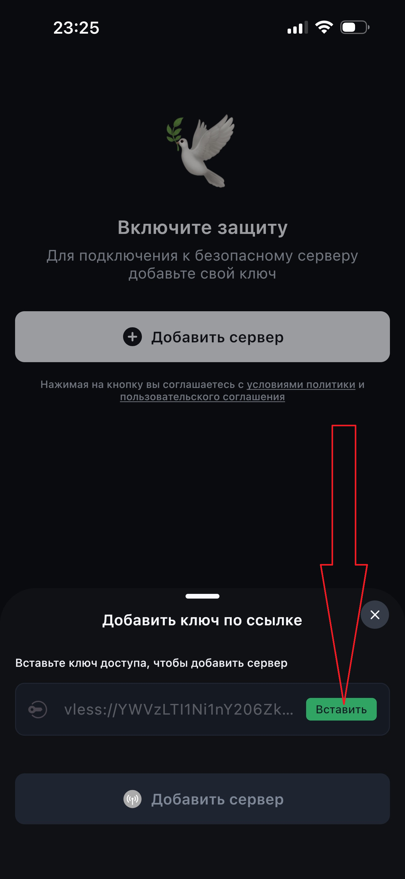 Поле для вставки ключа доступа